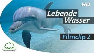 LEBENDE WASSER - Filmclip 2 - 