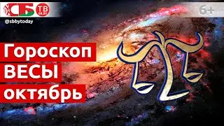 Гороскоп для знака Зодиака Весы на октябрь 2021 года