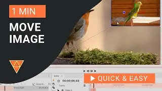 Hitfilm Express Tutorial: How to Move Image In HitFilm Express