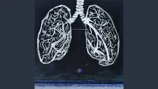 if jodi could breathe (outro)