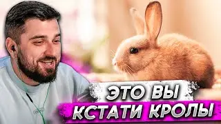 HARD PLAY СМОТРИТ ВИДЕО С ЖИВОТНЫМИ