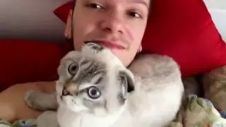 ТОП 5 Лучшие видео Кот будит хозяина. Best Funny Cats Waking Up Owners Compilation.