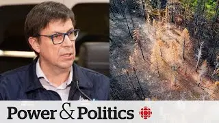 Alberta fighting wildfires as we speak, minister says | Power & Politics