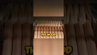 You Won't Believe How Pencils Are Made! ✏️🛠️ #funny #suprise #howitsmade