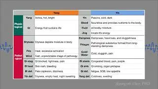 Essential Concepts to Understand Pattern Identification