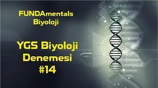 XL Biyoloji Denemesi #14