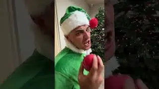 HOW TO BUILD A CHRISTMAS TREE