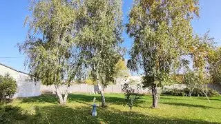 «НА ТРОПЕ, ЧТО ЛУНОЙ ЗАПОРОШЕНА» Песня прошлого столетия. 