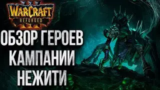 ОБЗОР ЮНИТОВ КАМПАНИИ НЕЖИТИ: Как Выглядят Ключевые Персонажи Warcraft 3 Reforged