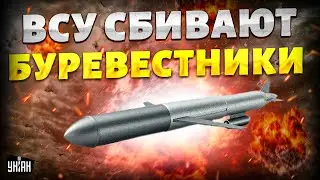 Впервые! ВСУ сбивают российские "Буревестники". Страшная КАТАСТРОФА в РФ