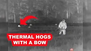 Using Thermal to Spot and Stalk Hogs with a Bow