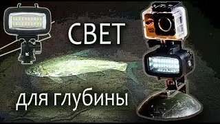 Подводный фонарь для экшн-камеры. Реакция рыбы на свет.