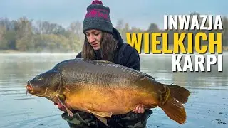 Inwazja WIELKICH KARPI na Pelagicevo Lake