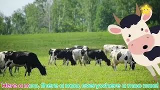 Farm Animals for Kids Animals video Cow sound Duck sounds