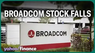 Broadcom can 'rotate back' over the next few quarters: Expert