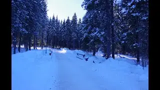 Зимняя прогулка по парку Югыд Лун города Сосногорск!