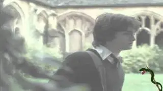 Cold Toxic Faint - Drarry