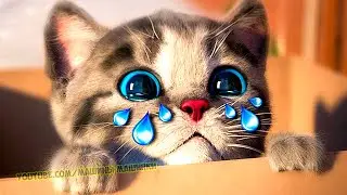 Little Kitten Preschool Adventure Educational Games - Play Fun Cute Kitten Pet Care Gameplay 
