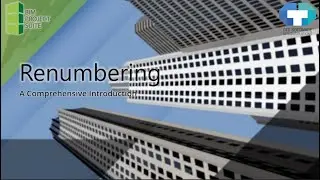 A Comprehensive Introduction to Renumbering