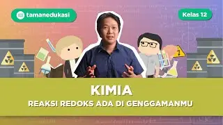 REAKSI REDOKS YANG ADA DI GENGGAMANMU (SEL VOLTA)