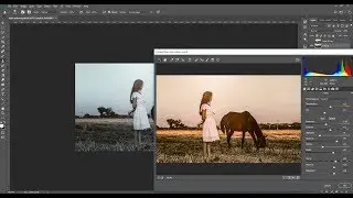 How to enhance photo color in photoshop | How to Make Colors Pop with Photoshop