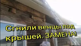 ЗАМЕНА ВЕРХНИХ ВЕНЦОВ. ИРКУТСК, РАДИЩЕВА.