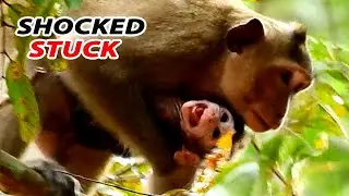HEART SHOCKED ... GOT STUCK IN BAD HAND KIDNAPPER / JODY MUCH SCARE & HUNGRY MILK