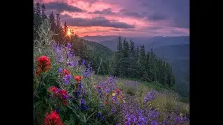 Шопен Ноктюрн ,op 27 no 2 . Chopin Nocturne , op 27 no 2 - Maria Joao Pires Live at Jardin Musical