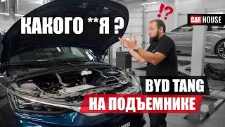 ТАКОГО, за эту цену, я не ждал... BYD TANG снизу.