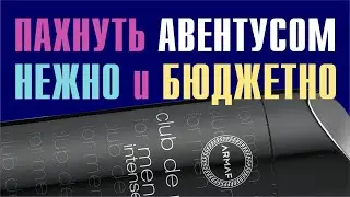 ЭЛЕГАНТНЫЙ ВАЙБ БЕЗ НАПРЯГОВ ЗА КОПЕЙКИ! ARMAF CLUB DE NUIT INTENSE MAN DEO SPRAY // ОБЗОР АРОМАТА