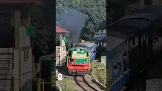 Nilgiri Mountain Railway | Ooty Toy Train | #ootytoytrain #nilgirimountainrailway #toytrain #train