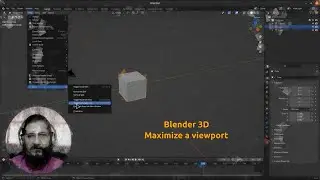 Blender 3D: Maximize View Port