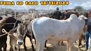 FEIRA DO GADO DE CAMPINA GRANDE PARAÍBA 13/11/2024