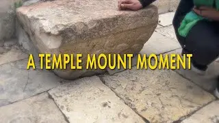 A Temple Mount Moment: A Fleur-de-lis on the Temple Mount