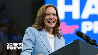 Kamala Harris receives enough delegate votes to become Democratic nominee