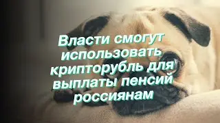 Власти смогут использовать крипторубль для выплаты пенсий россиянам