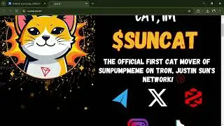 What is SUNCAT (SUNCAT) Coin | Review About SUNCAT Token