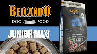 Belcando Junior Maxi – немецкий сухой корм для щенков крупных пород