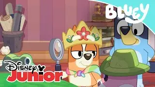 Bluey: Reinas y mayordomos | Disney Junior Oficial