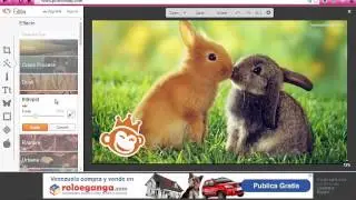 Video tutorial editor de fotos on line pic monkey