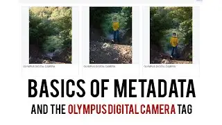 Basics of editing and managing your metadata - Olympus OMD