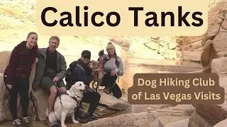 Dog Hiking Club of Las Vegas Visits Calico Tanks Trail