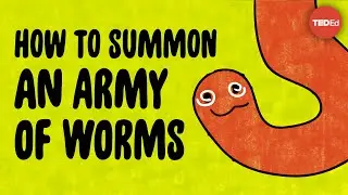 This weird trick will help you summon an army of worms - Kenny Coogan