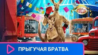 ИЗ - ЗА НЕУДАВШЕГОСЯ ОГРАБЛЕНИЯ МУЗЕЯ ПРОПАЛА КРОШКА - КЕНГУРУ! Прыгучая братва. Семейный канал