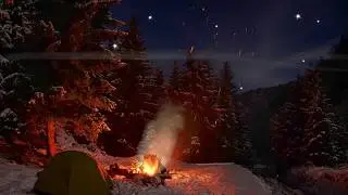 Bonfire in the winter forest