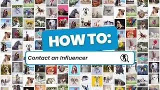 How do I contact an influencer? | petinfluencer.ai