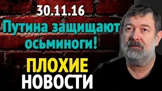 Вячеслав Мальцев ПЛОХИЕ НОВОСТИ 30 11 16 Путина защищают осьминоги