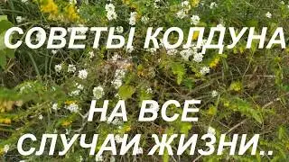 Как привлечь удачу ? Советы колдуна на все случаи жизни. Народные приметы и поверья