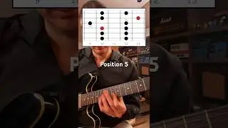 All Major Pentatonic Positions in Under 1 Minute! #guitar #guitarlesson