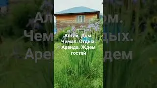 Алтай. Чемал. Большой дом в аренду 89130939401